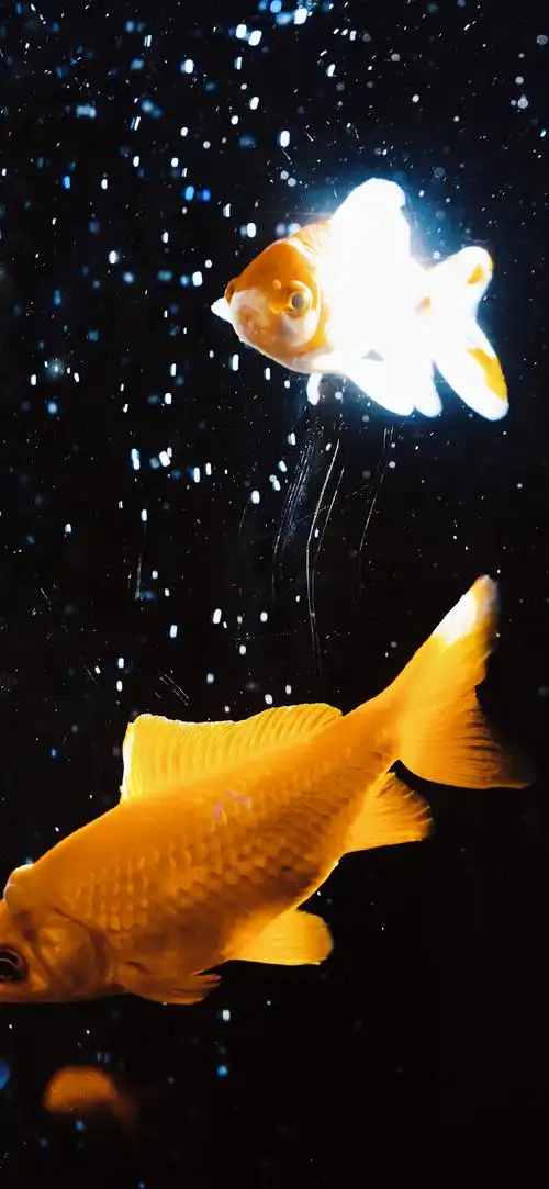 氛围感锁屏壁纸