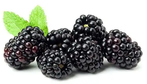 含花青素的水果们,什么是黑覆盆子?