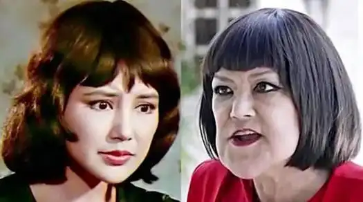 哪些明星整容失败(9位被整容害惨的好演员)(4)