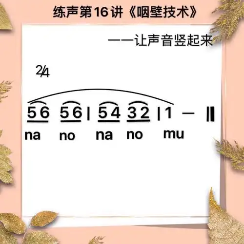 练声专栏图片音频学习资料