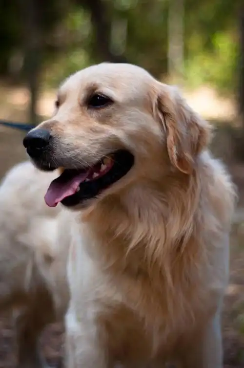 人文,休闲,旅游