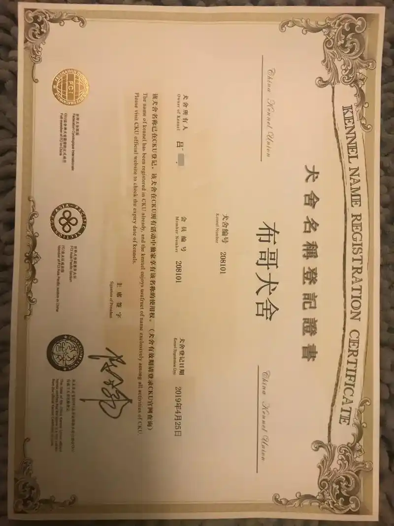 什么是狗证书芯片?你真的了解吗?n年前就在cku注册繁育犬舍 - 抖音