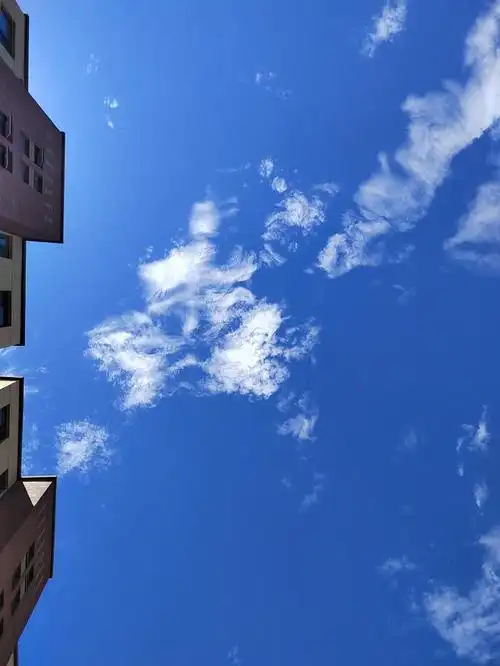 一组秋日晴空图蓝天白云阳光绿叶