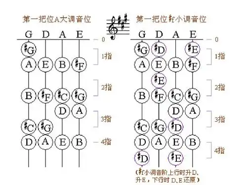 第5页 (共5页,当前第5页) 你可能喜欢 小提琴入门 钢琴指法 小提琴