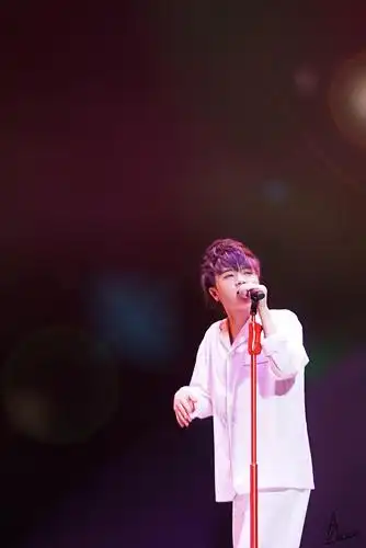 2014华晨宇2014华晨宇火星演唱会 - 北京站_高清图片大全-爱豆app