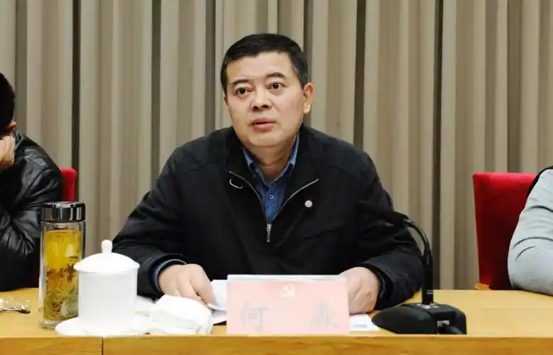 成都召开全市扫黑除恶专项斗争工作推进会