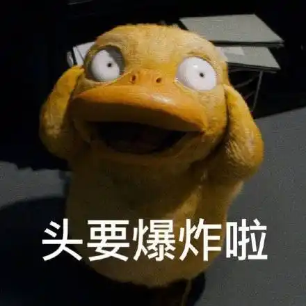 头要爆炸啦(鸭鸭表情包)_头要_爆炸表情