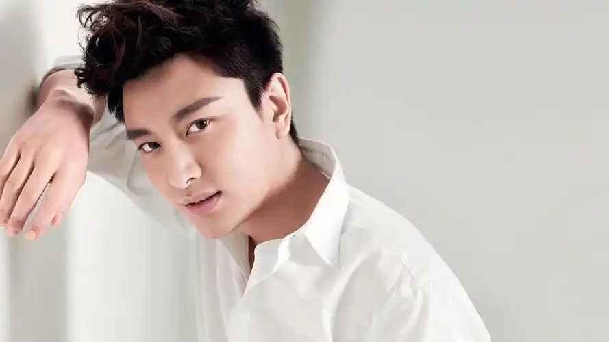 贾乃亮近照憔悴惹人疼 粉丝组慰问团探班剧组-娱乐视频-搜狐视频