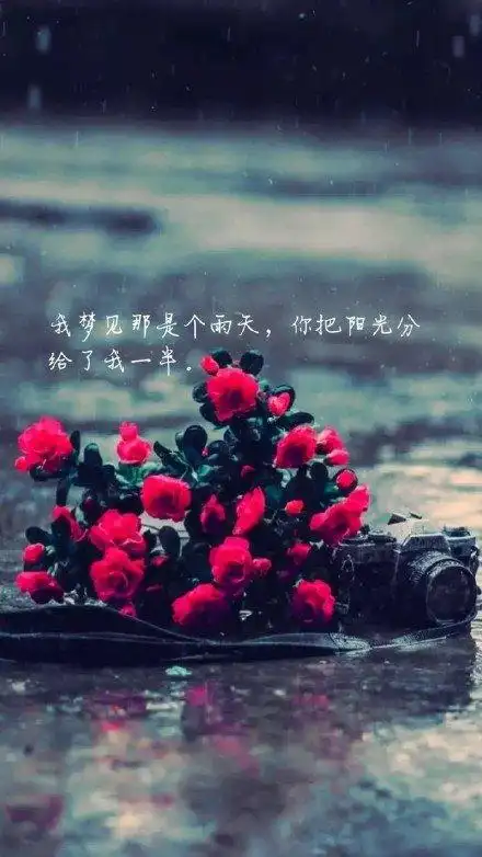 唯美,另类图片:戳进来看,不喜勿喷i-文字图片-七七空间