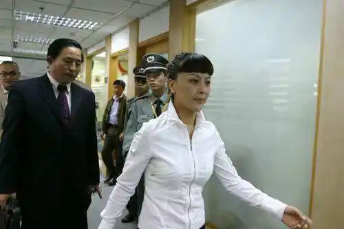 高峰私生子案女主角王纳文,她的出现致使那英与男友分手