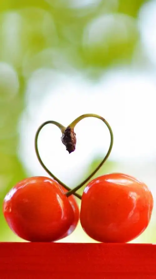 唯美心型爱心图案