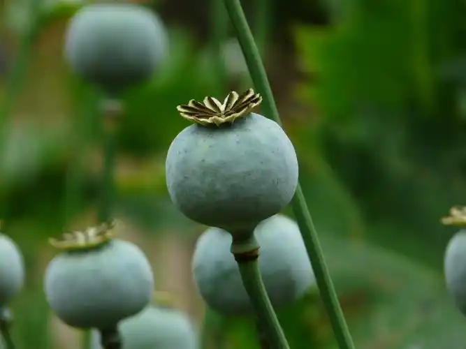 .. - 『摄影器材图片 区』 - 北旅之星望远镜网 最大的望远镜网站 天