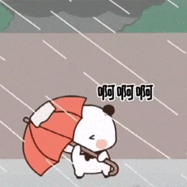 抖音超火表情包67小猫咪能有什么坏心眼呢