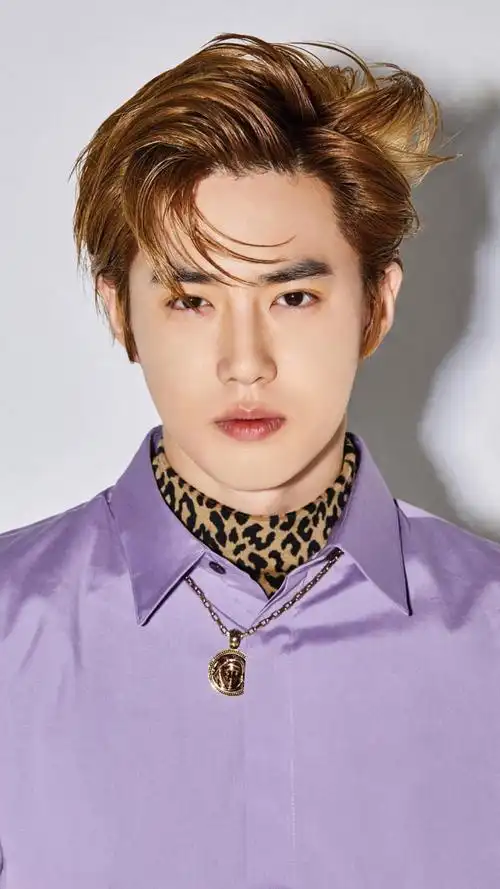 love shot-exo茶蛋金俊勉 suho 队长
