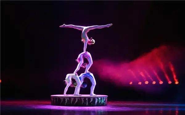 中国传统马戏团的杂技表演项目有哪些