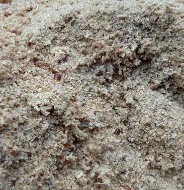 黄粉虫虫卵只卖自己的别人的信不着所以此产品有时下架