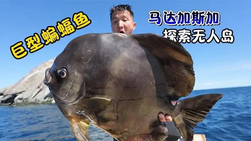 西瓜视频 - 高清免费在线视频 - 点亮对生活的好奇心