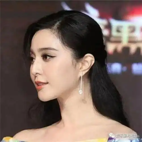 盘点娱乐圈鼻子最好看的十大美女