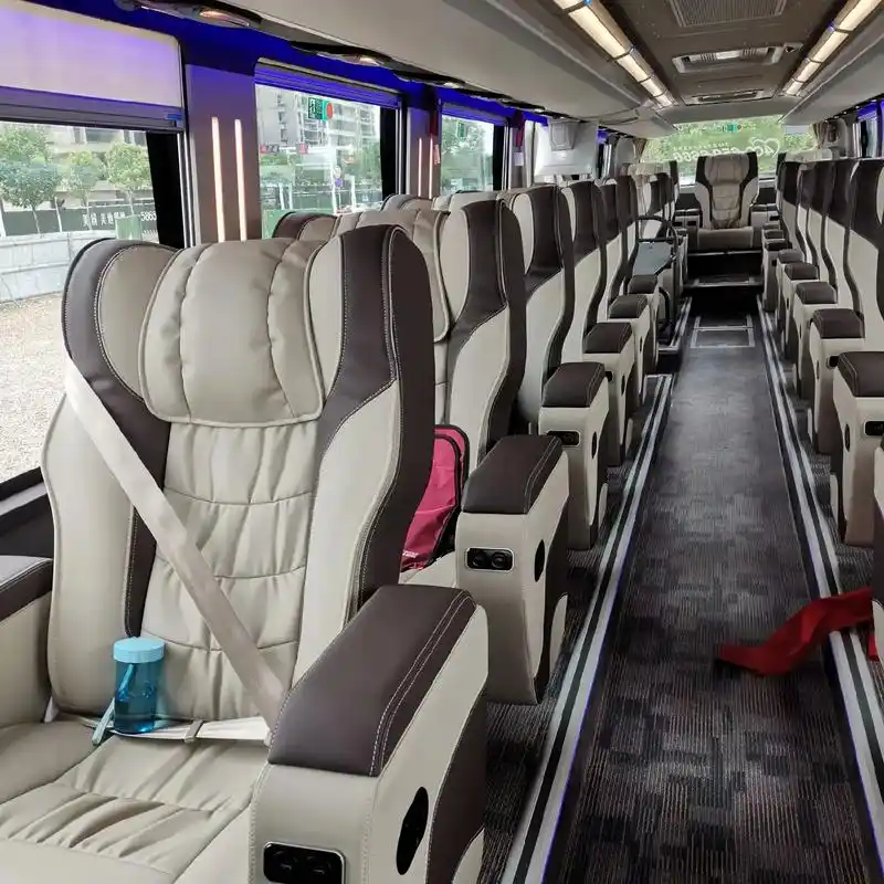 大巴车 主 - 抖音