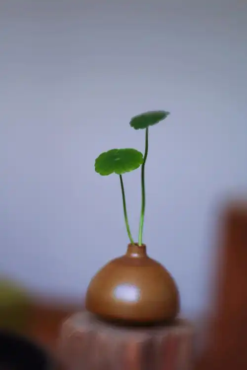 一念静心,峰回路转.