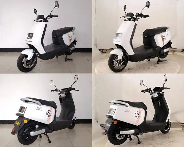 新日牌xr1200dt5e电动两轮摩托车