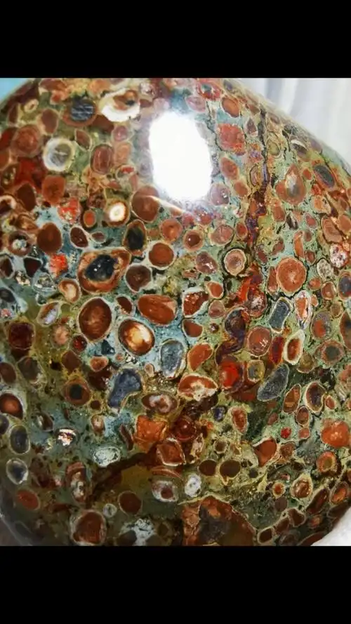 五彩球粒陨石精品!随型抛光手把件!