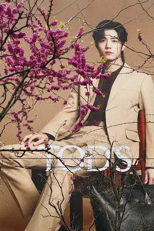 tods全球品牌代言人肖战##肖战