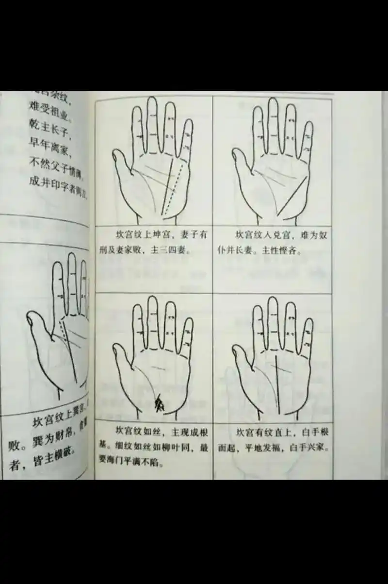 月下教大家看手相.授人鱼不如授人以渔,粉丝们,好好学,大家一 - 抖音