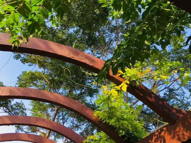 可以分享一张好看的夏天风景照吗