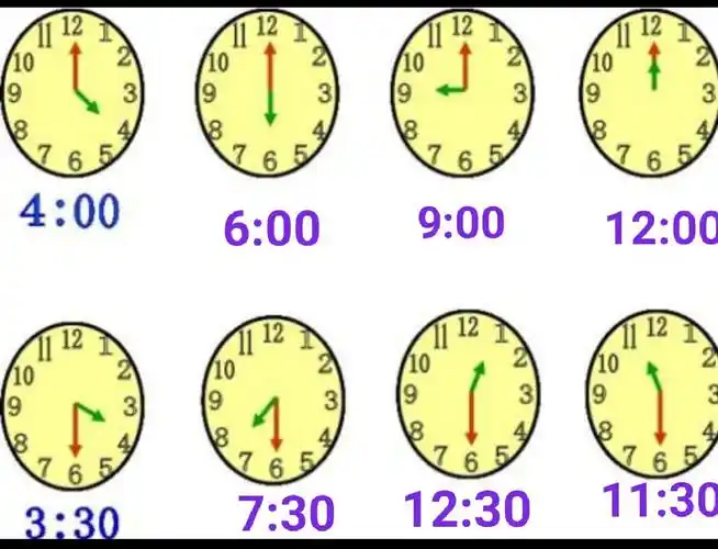 合力幼儿园疫情期间数学活动内容《认识钟表》