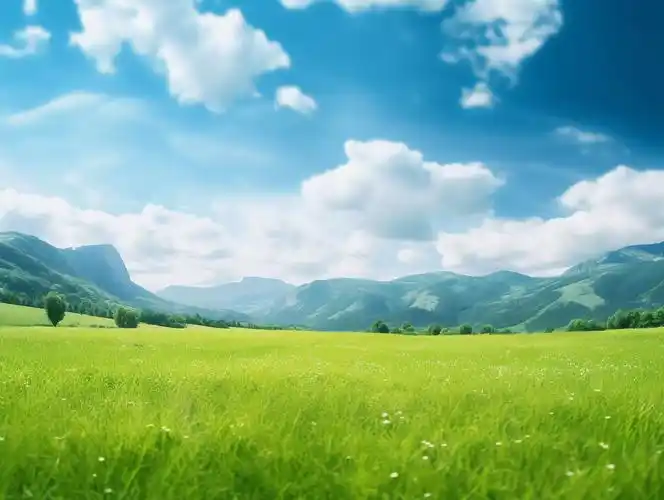 绿色草地山春天清新风景美丽的大自然小野花青草植物