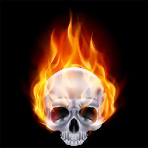 燃烧着火焰的骷髅头矢量插画