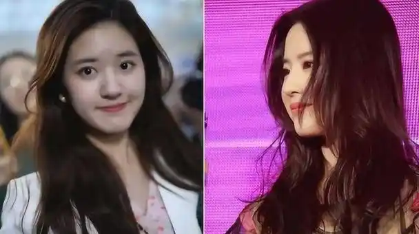 长得像刘亦菲,就能当【明星】|刘诗诗|小龙女|黄圣依|娱乐圈|女明星