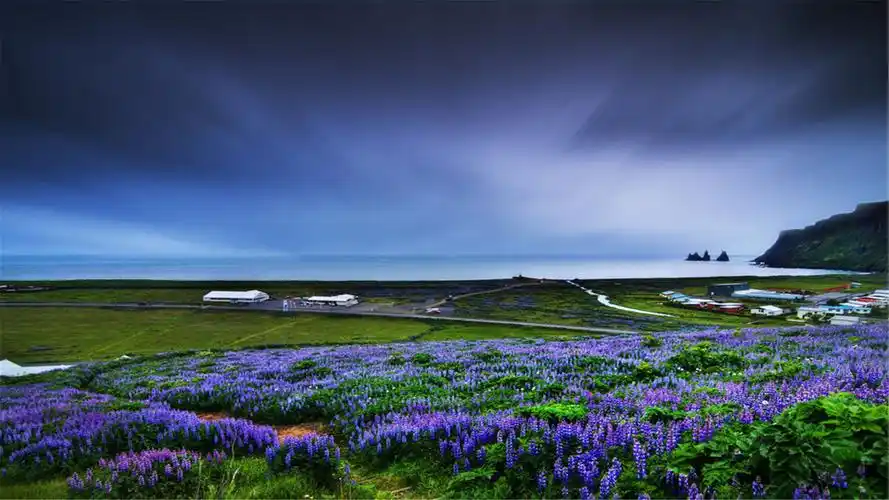 82张护眼电脑桌面壁纸,超多超全,唯美漂亮