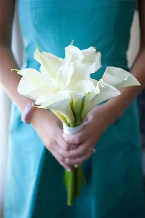 马蹄莲手捧花图片象征幸福纯洁永结同心