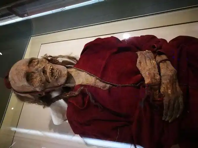 我和干尸有个约会