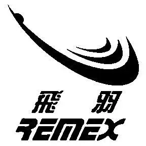 em>飞羽 /em>; em>remex /em>