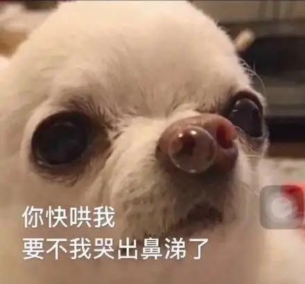 你快哄我要不我哭出鼻涕了_鼻涕表情