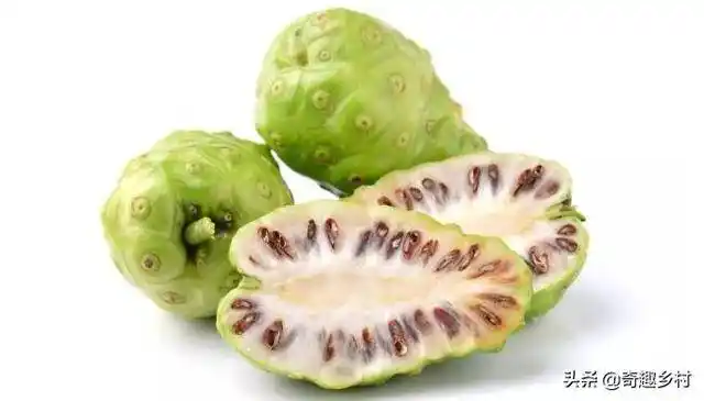 国内外41种不常见的奇葩水果你都知道哪些?吃过哪些?