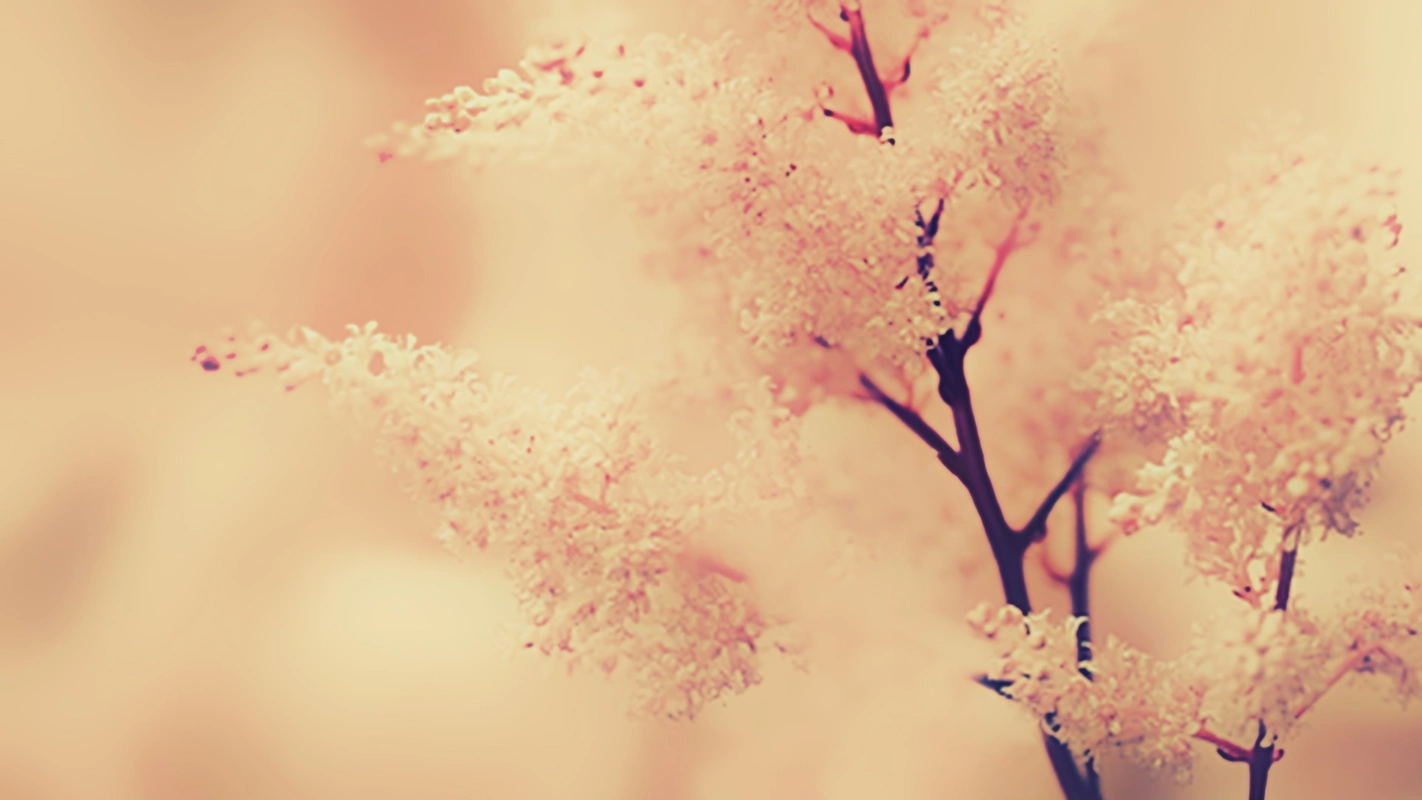 美桌网精选高清唯美风景桌面壁纸