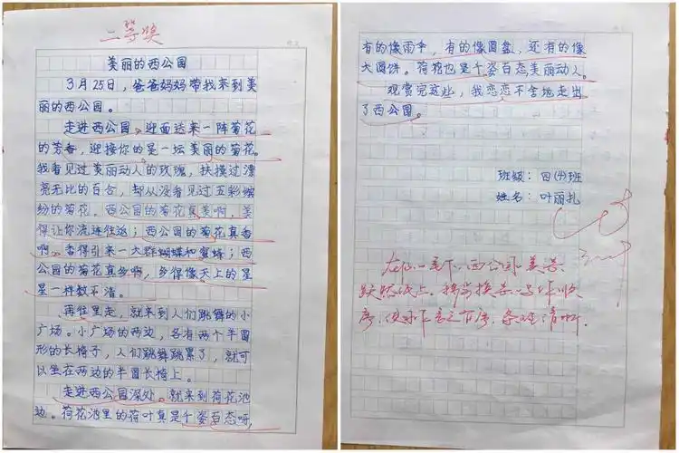 耕耘文章·收获梦想——伊宁市第十五小学四(4)班作文比赛优秀作品