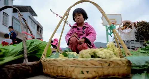 ctps.cn-- 操场边上买菜的小女孩 孤岛方舟 广东 连平