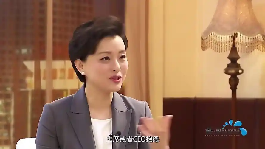 杨澜访谈录人才相对论