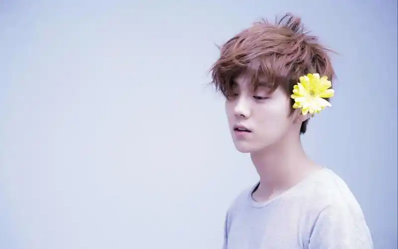 【树深时见deer鹿】有喜欢的人 鹿晗32个可爱瞬间