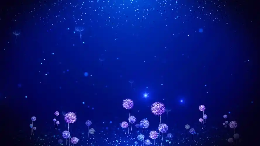 梦幻网站建设素材视频大全_(梦幻网站建设素材视频大全下载)