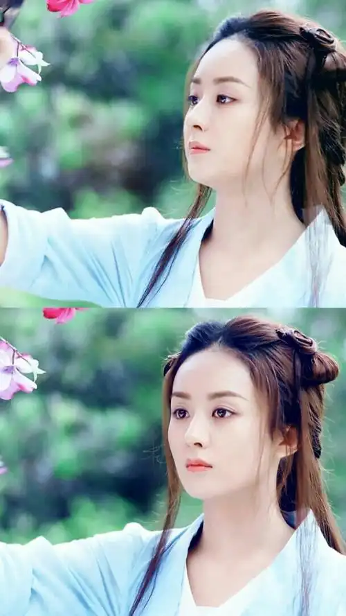 特工皇妃楚乔传·赵丽颖