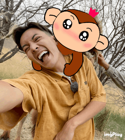 陈伟霆电影爆裂点##陈伟霆太阳星辰