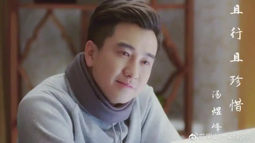 翟天临作品食用指南掉坑碎碎念