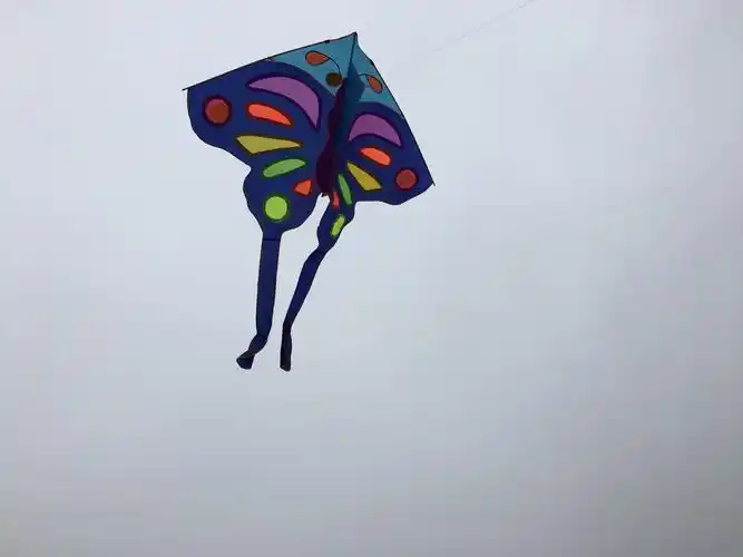 这只花蝴蝶形状是三角形的,颜色鲜艳漂亮,在天空中飞翔似乎一点不甘