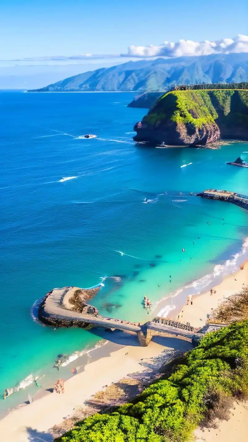 欧美夏威夷海滩壁纸🏖️🌴